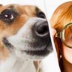 Len skutočný IQ titan uvidí psa na snehu za 10