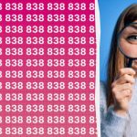 Máte vysoké IQ, ak dokážete rýchlo nájsť číslo 888 medzi