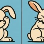 Super IQ test: nájdite 3 rozdiely na obrázku králika za